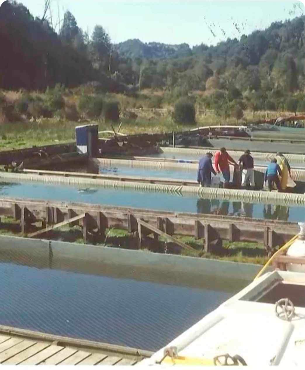 Dalcahue's first hatchery