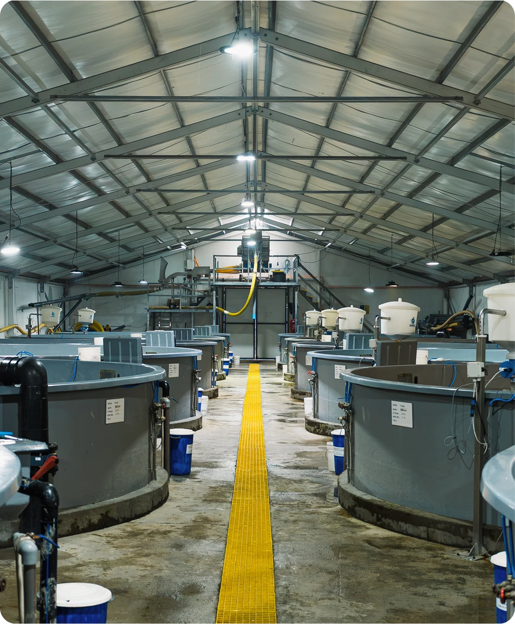 Fry room