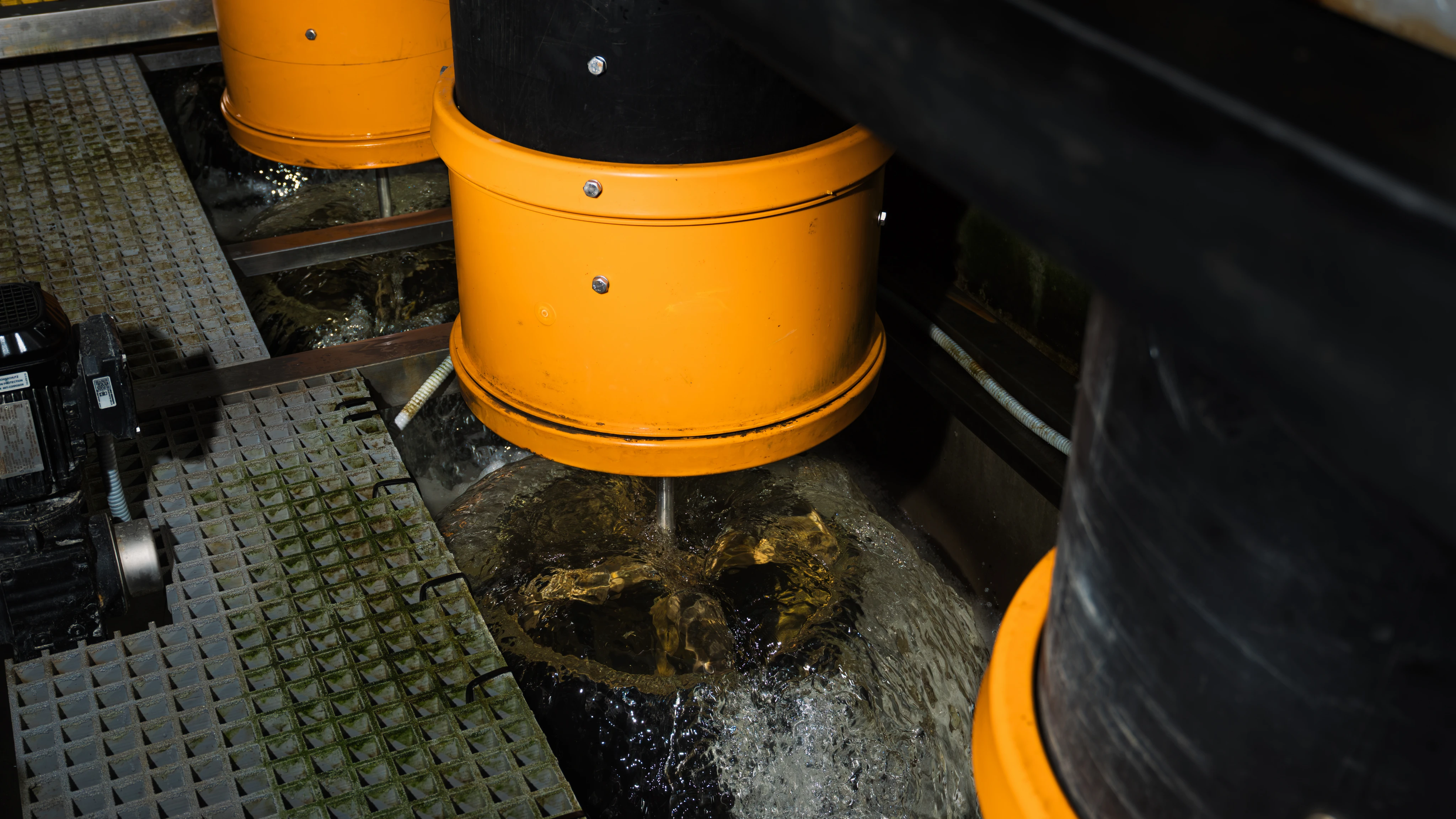 Rearing tanks seen from above