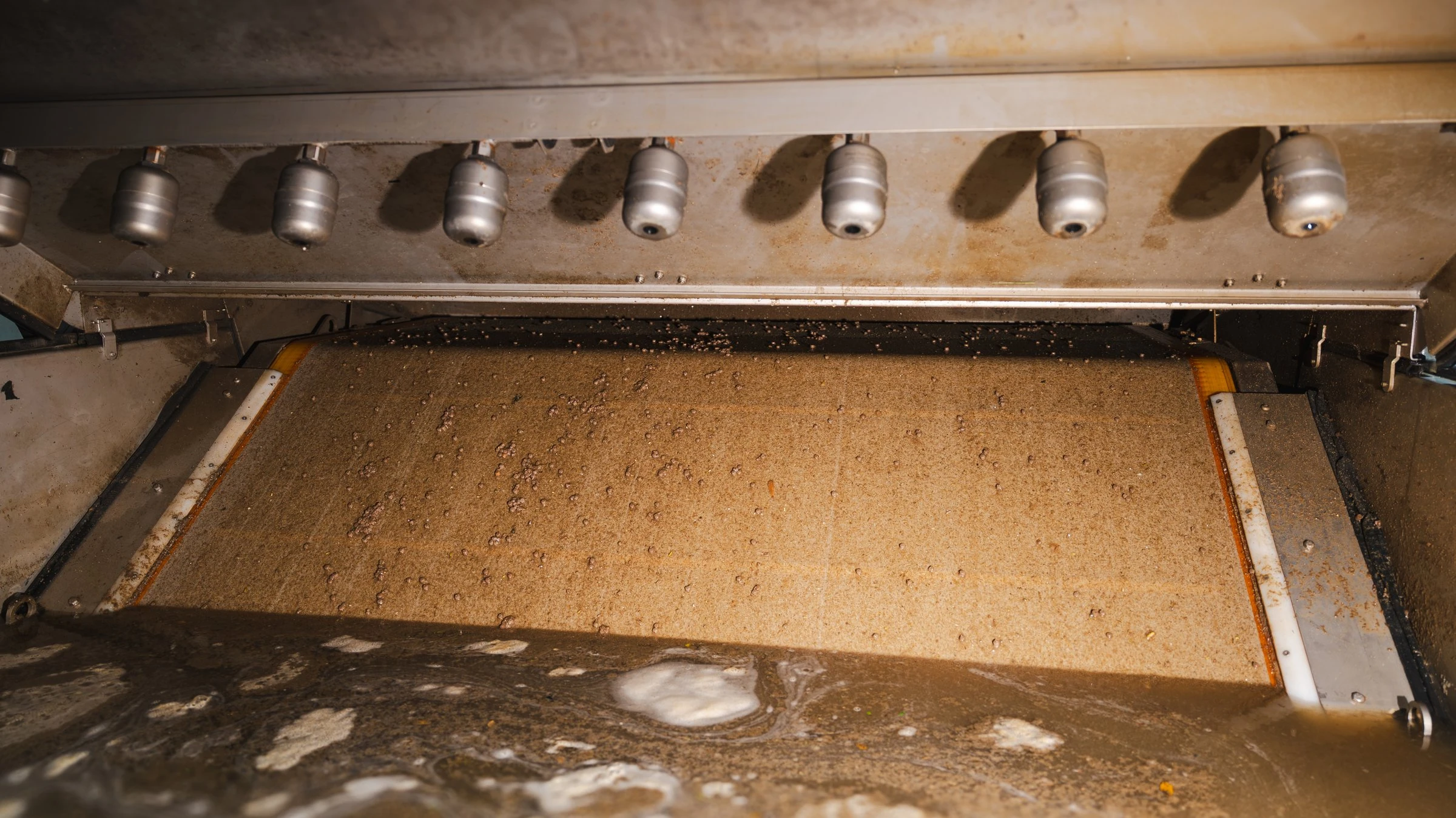 Sludge management for the circular economy