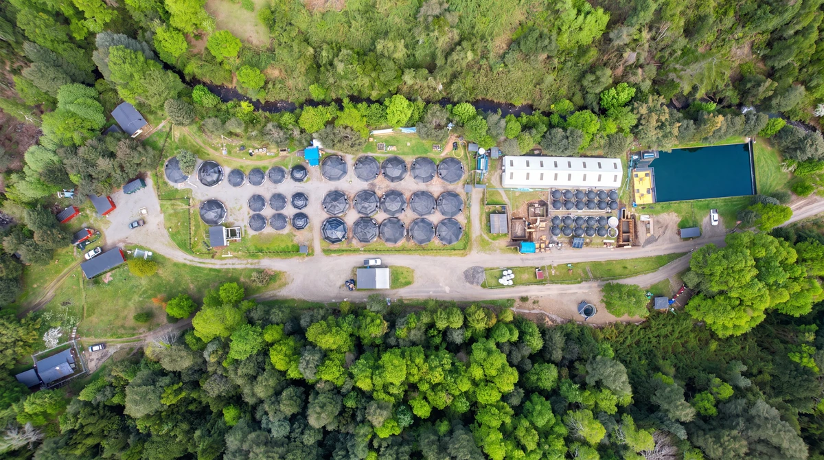 Aerial view of the Lleuque hatchery with circular tanks in the forest