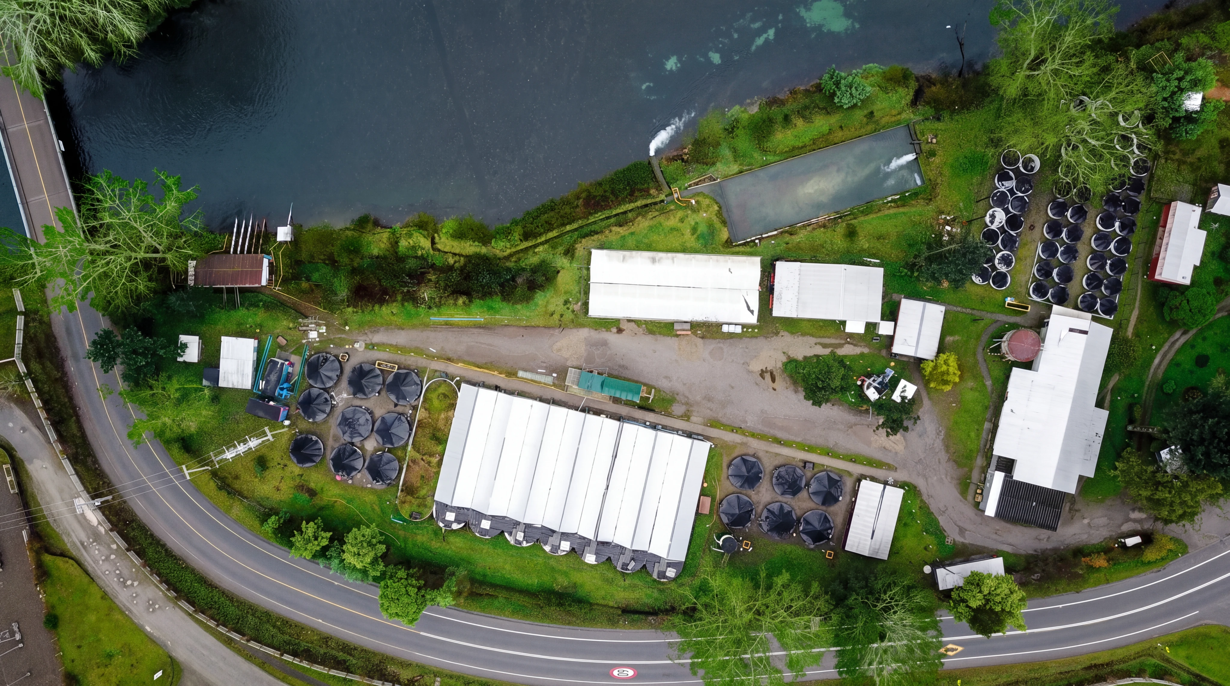 Pullinque hatchery