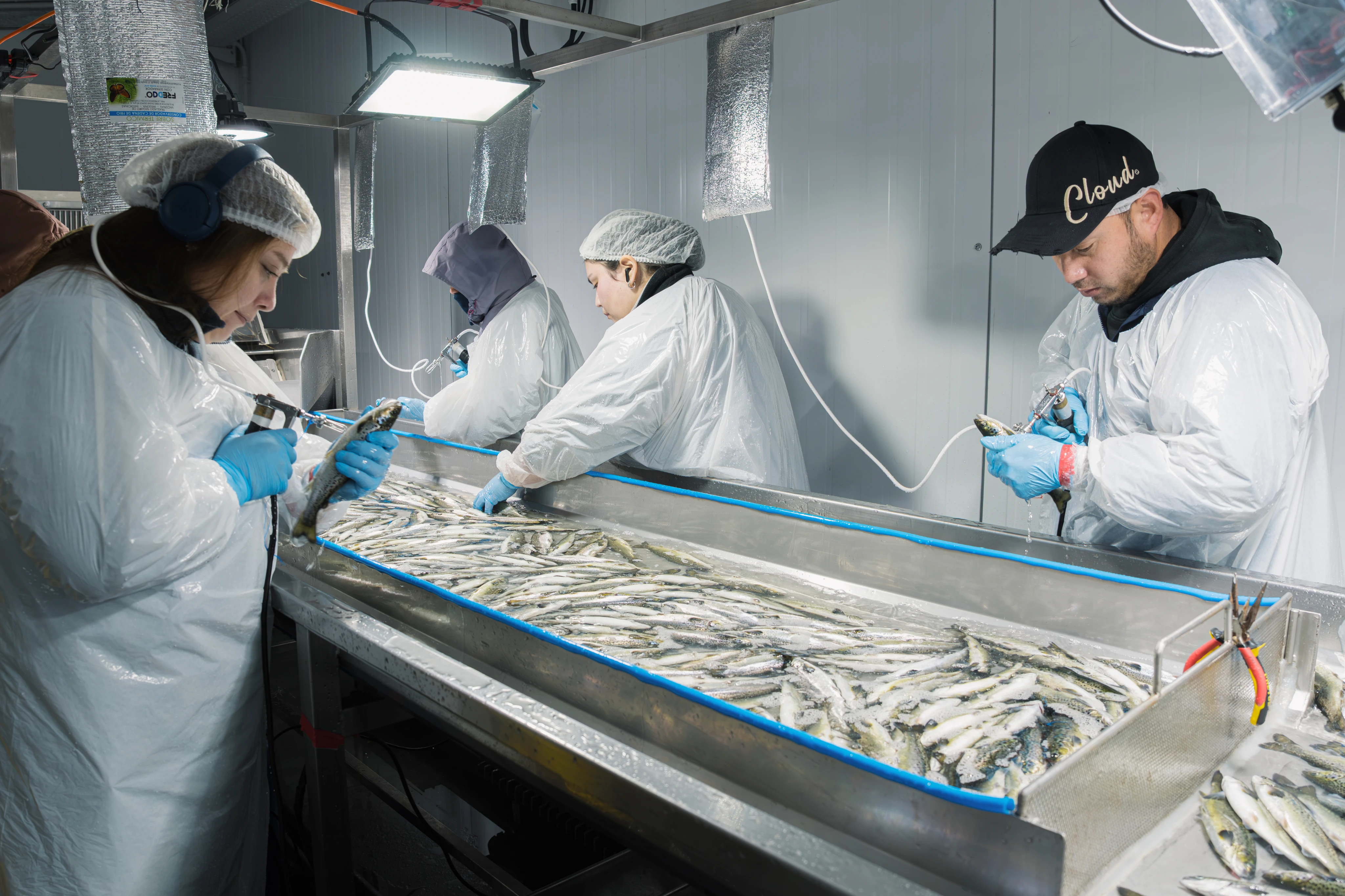 Interior of an aquaculture production site